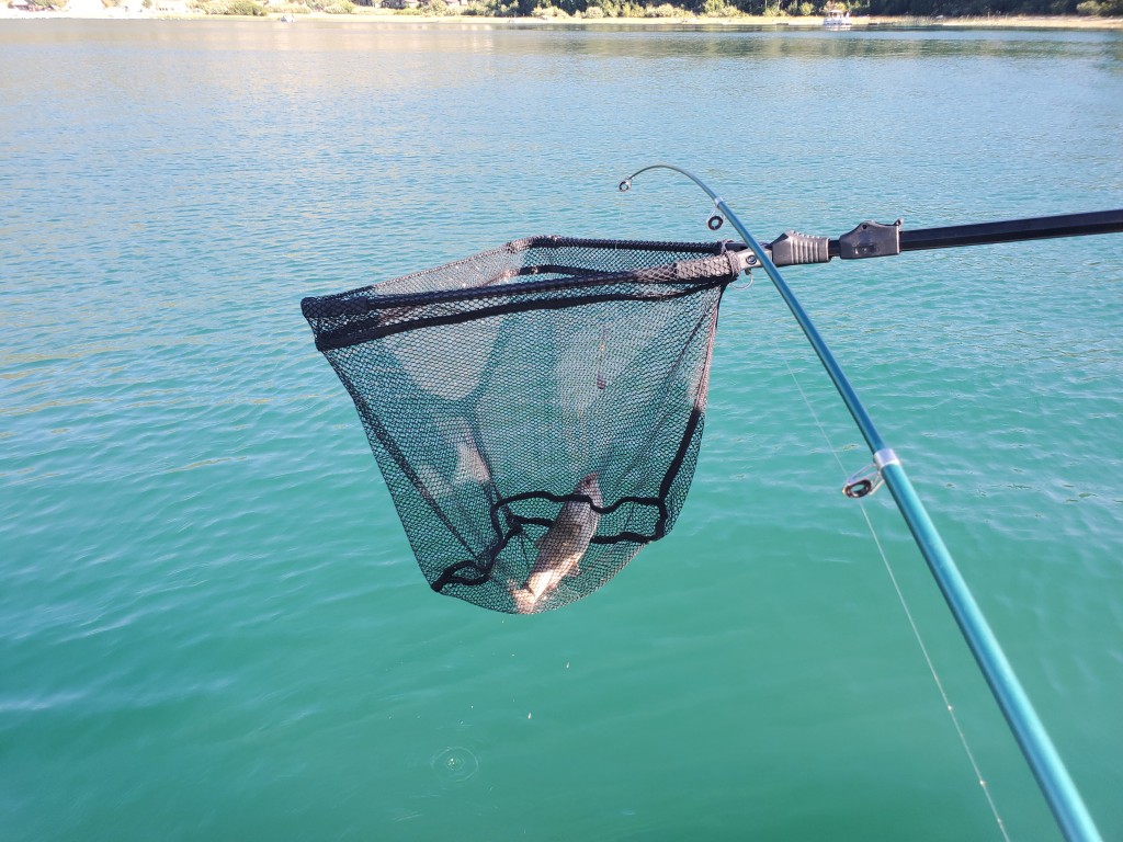 Greys Reservoir Round Net  Telescopic Reservoir Trout Fishing Net